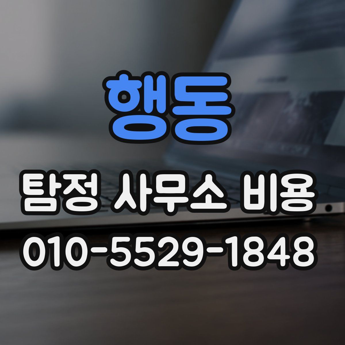 행동 탐정 사무소 비용
