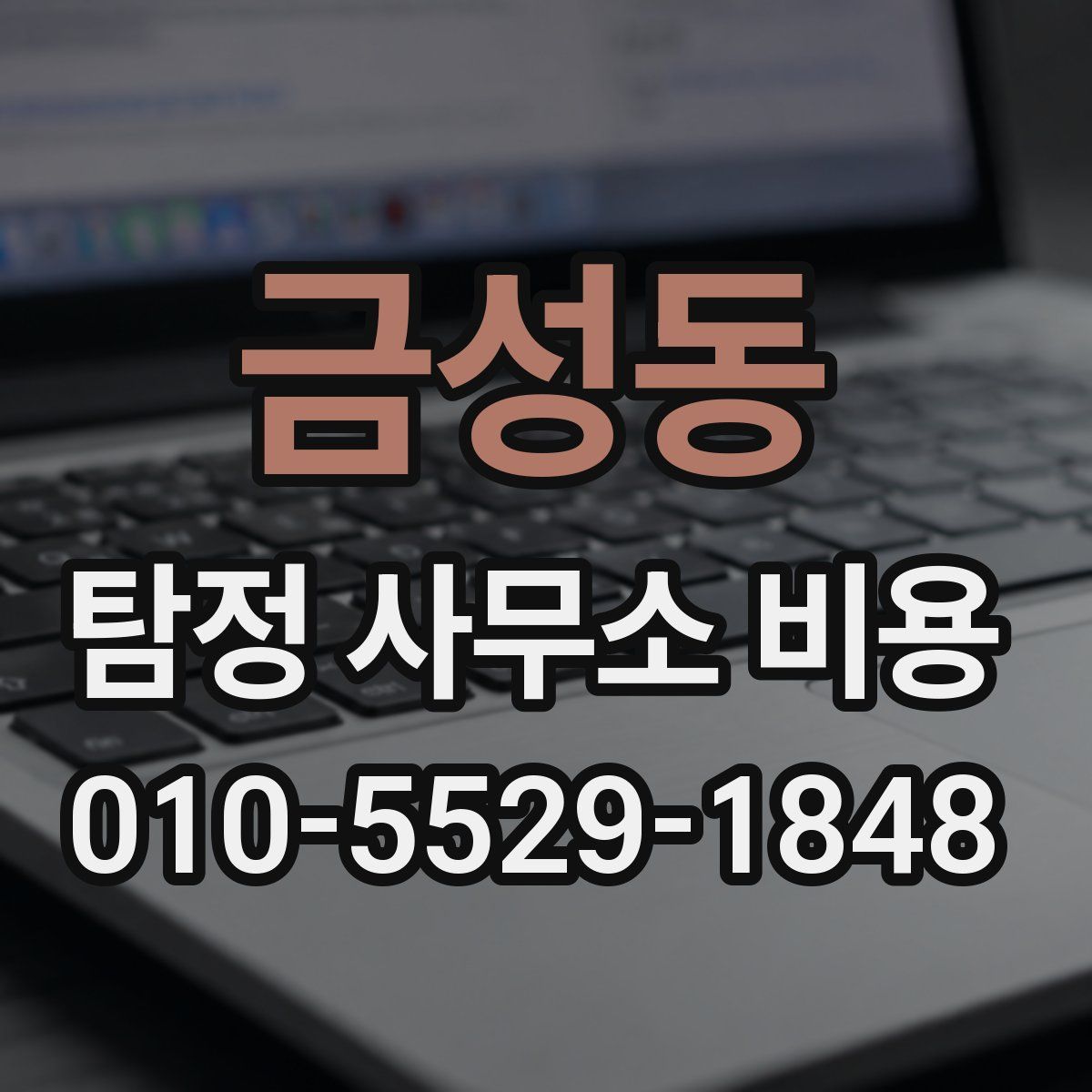 금성동 탐정 사무소 비용