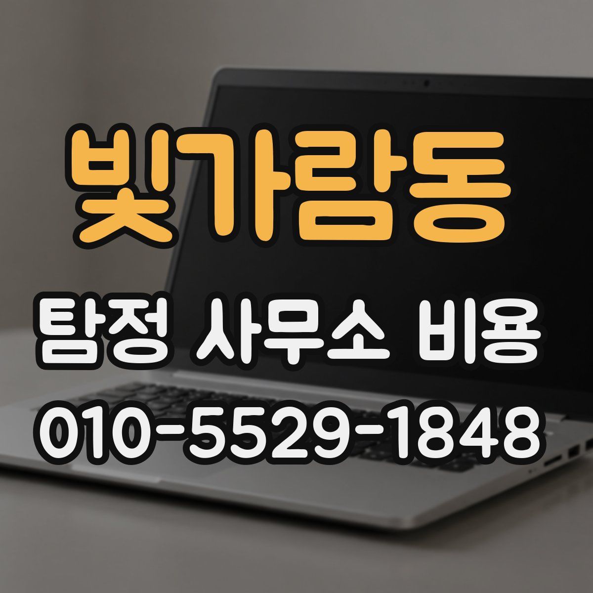 빛가람동 탐정 사무소 비용