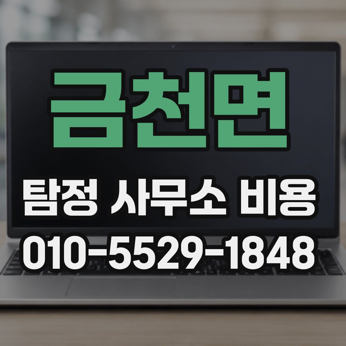 금천면 탐정 사무소 비용