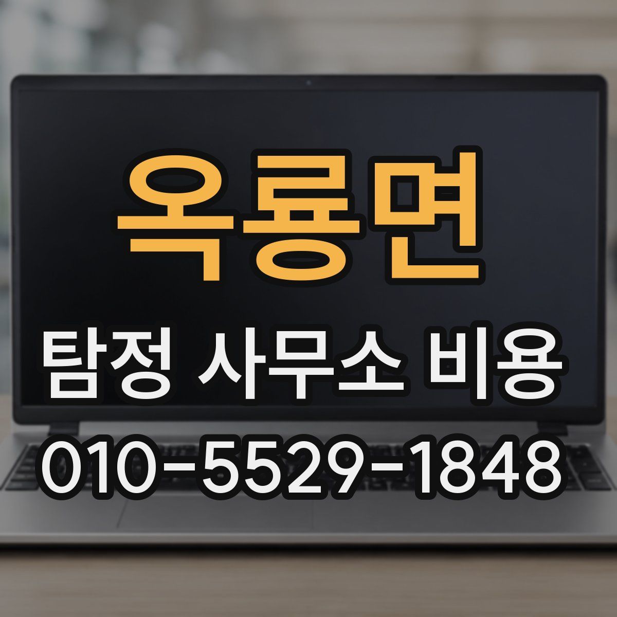 옥룡면 탐정 사무소 비용