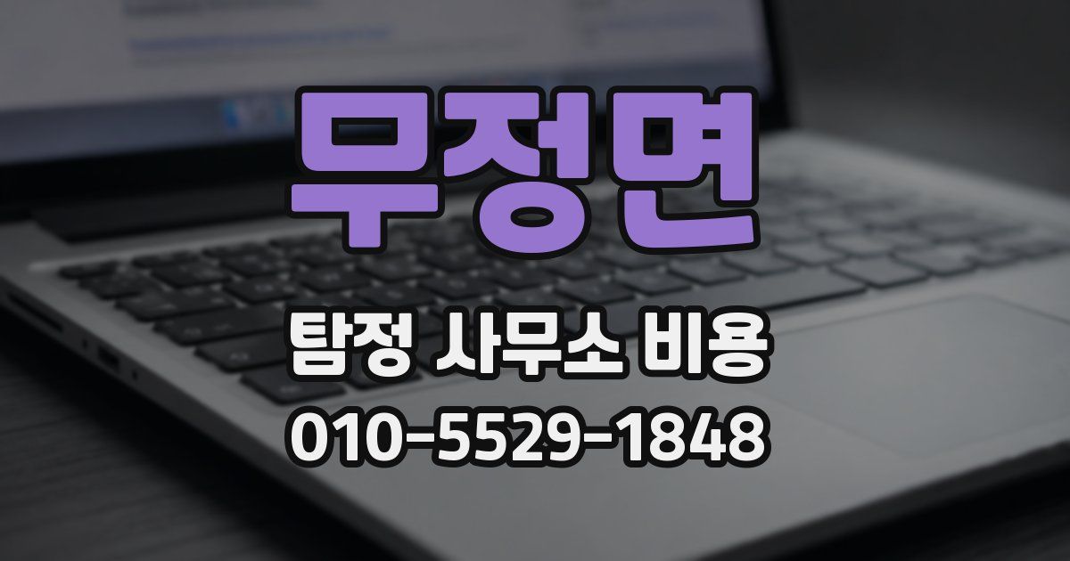 무정면 탐정 사무소 비용