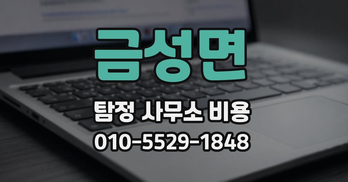 금성면 탐정 사무소 비용