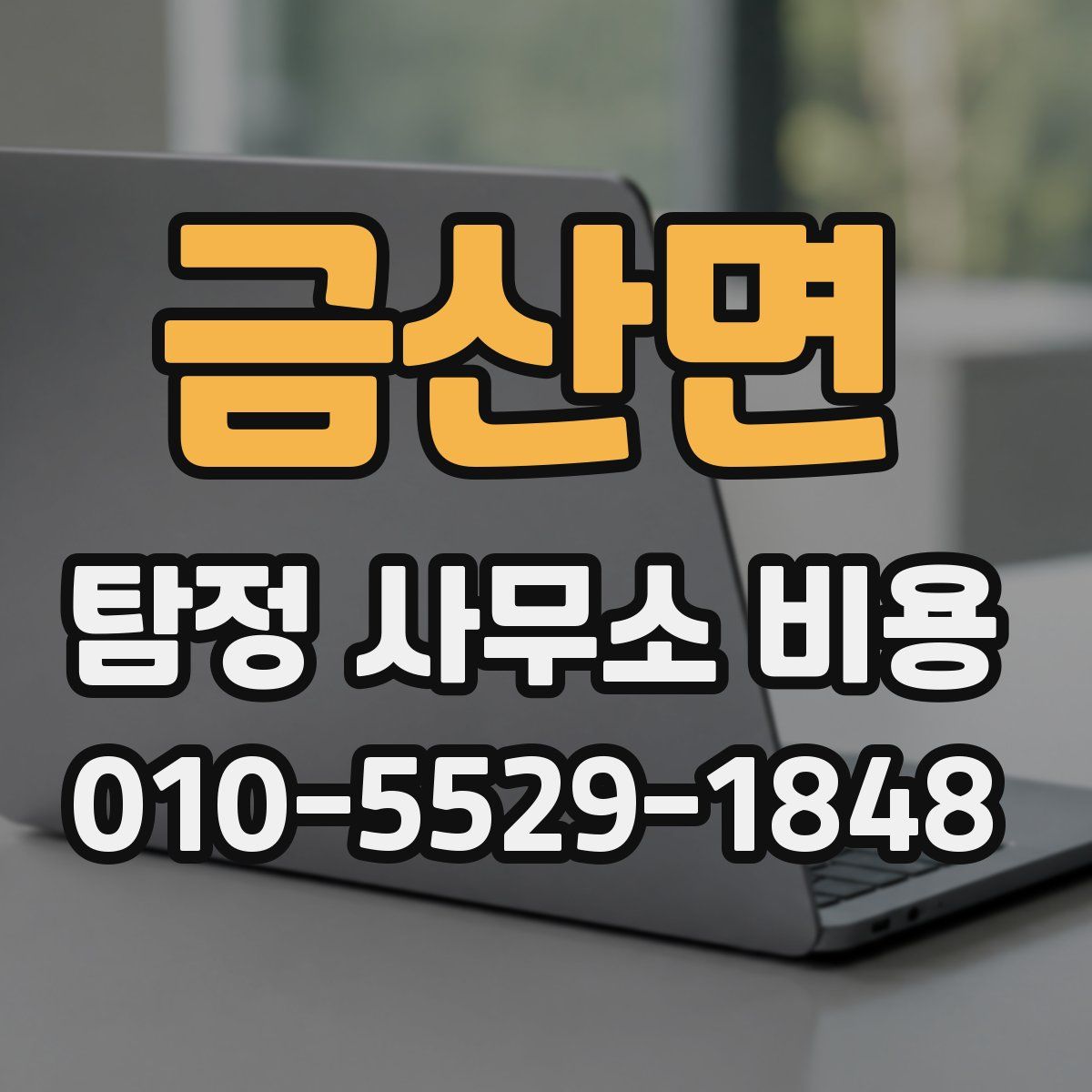 금산면 탐정 사무소 비용