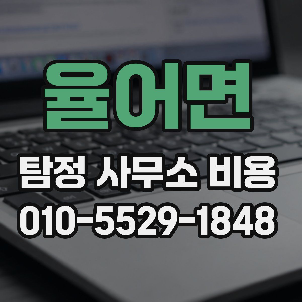 율어면 탐정 사무소 비용
