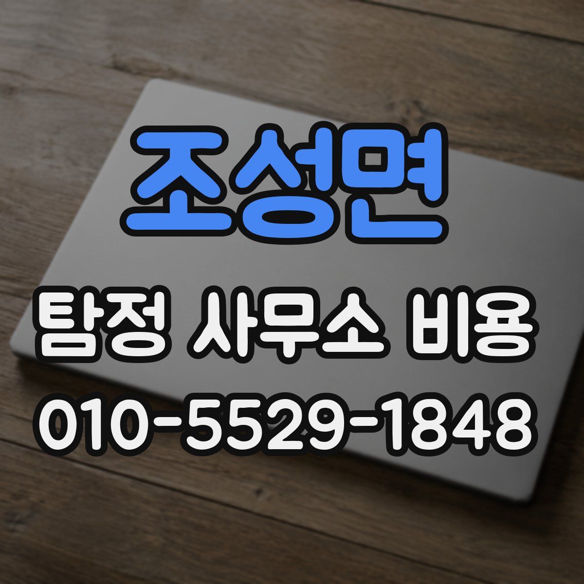 조성면 탐정 사무소 비용
