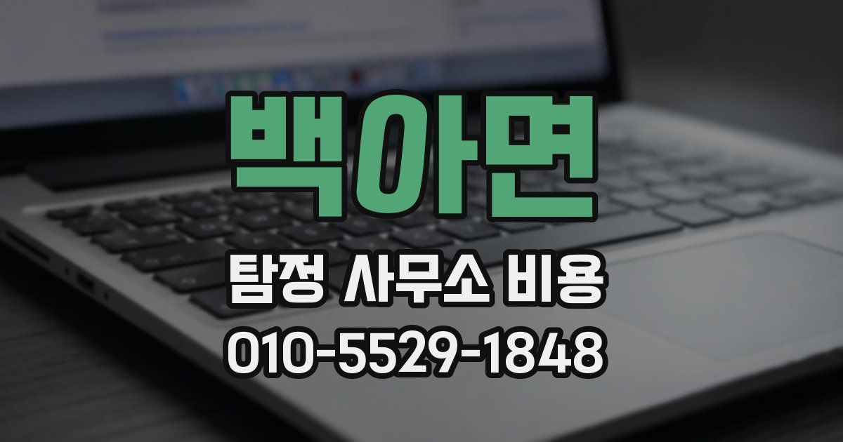 백아면 탐정 사무소 비용