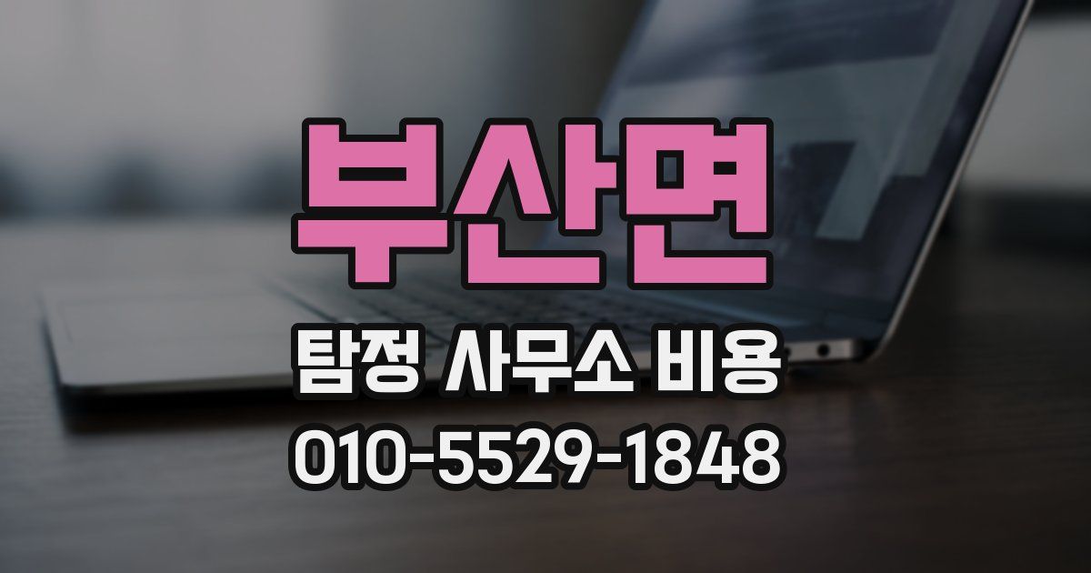 부산면 탐정 사무소 비용
