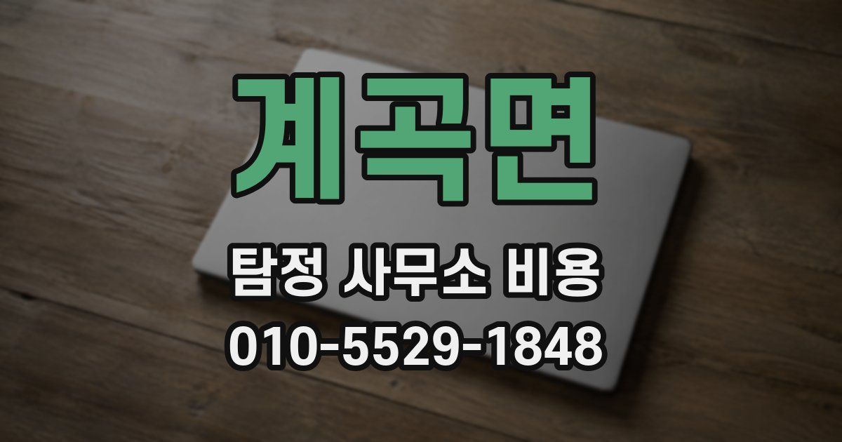 계곡면 탐정 사무소 비용
