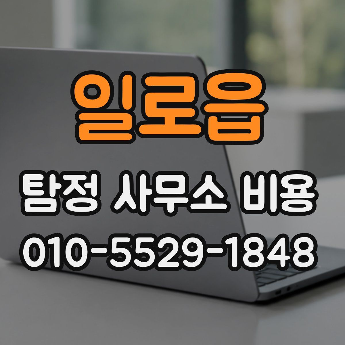 일로읍 탐정 사무소 비용