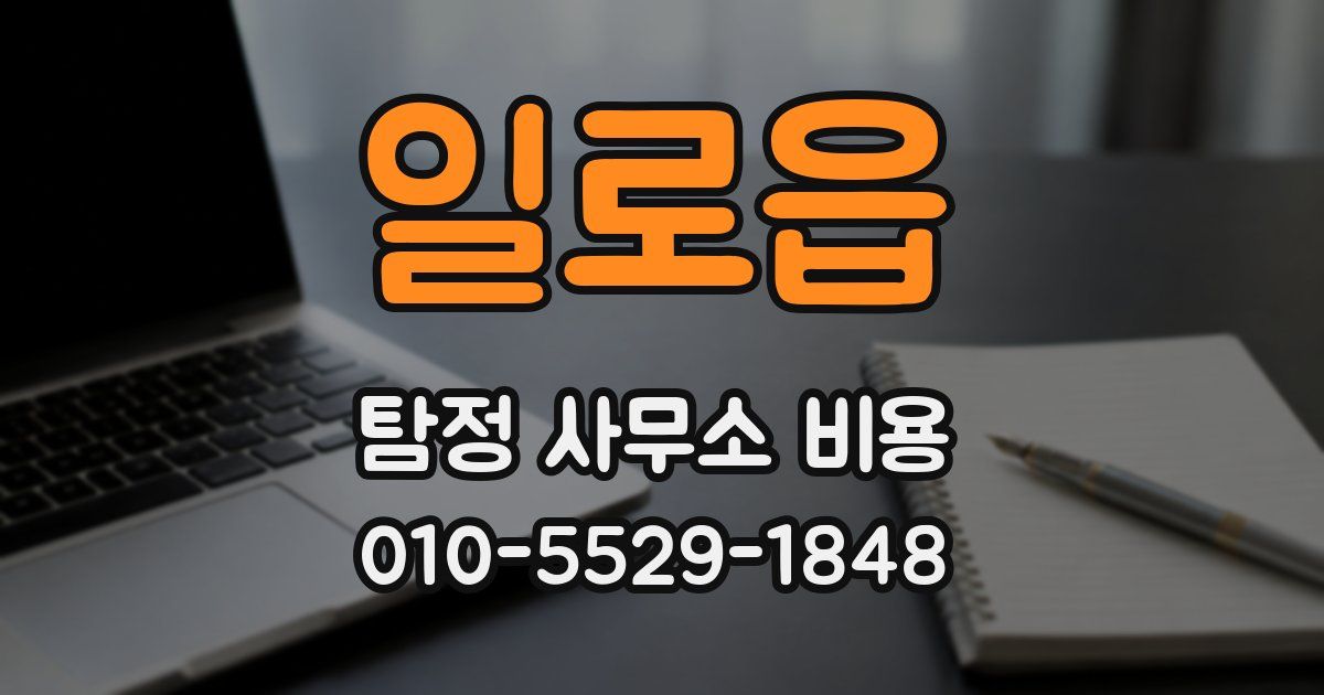 일로읍 탐정 사무소 비용
