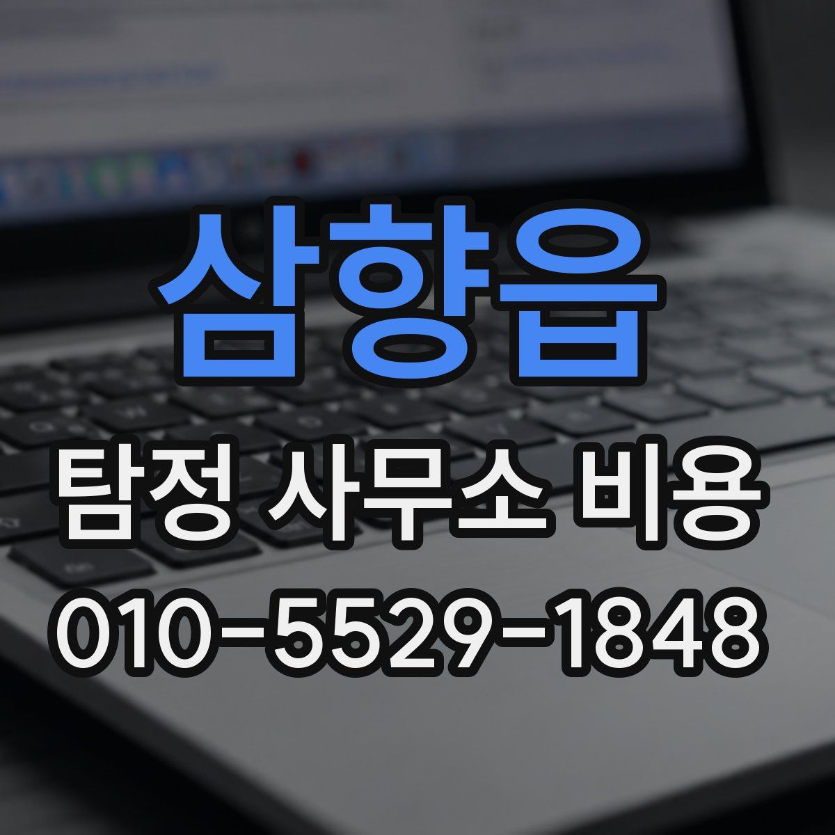 삼향읍 탐정 사무소 비용
