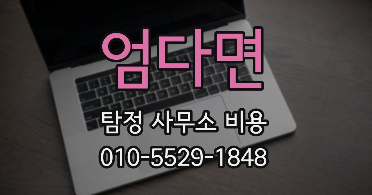 엄다면 탐정 사무소 비용