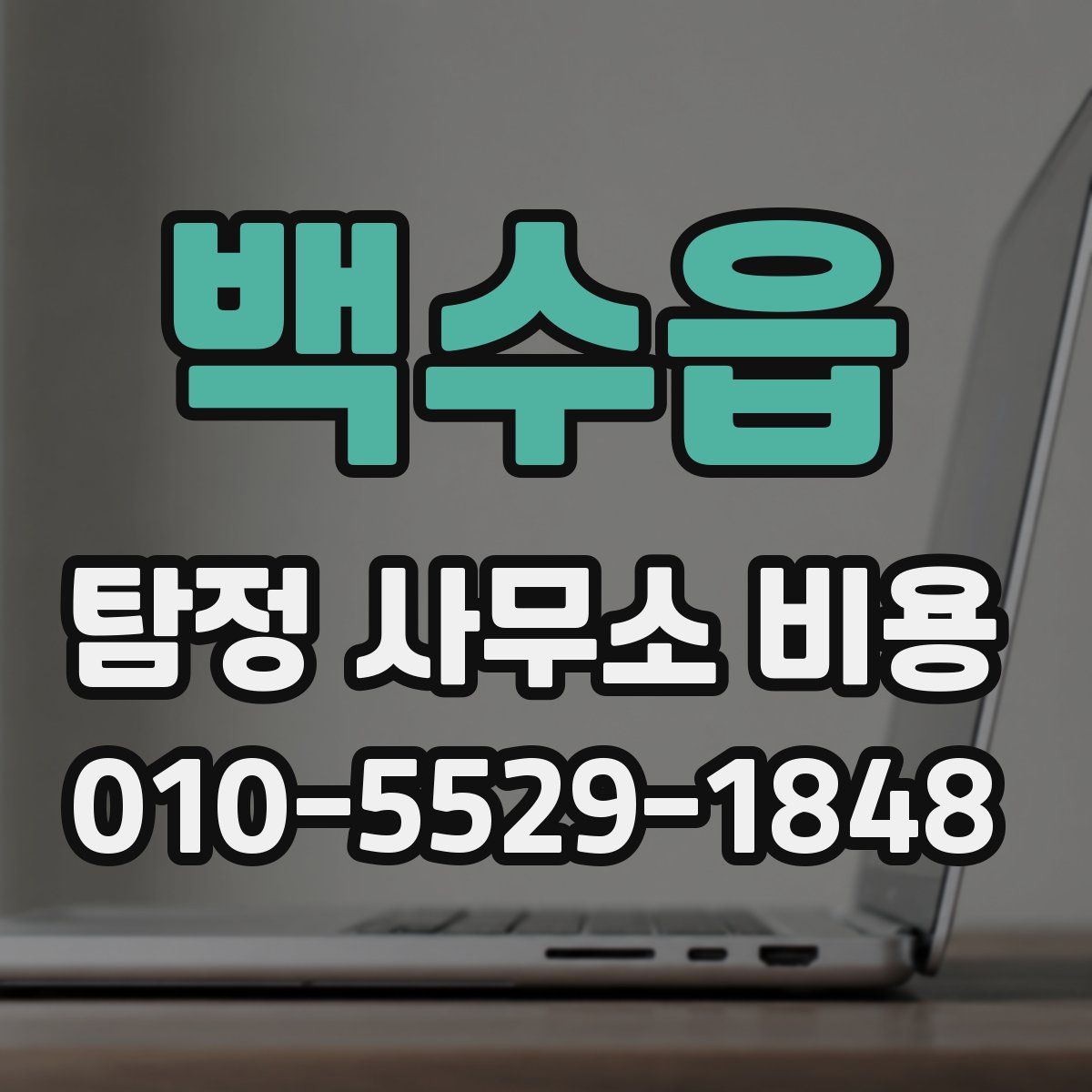 백수읍 탐정 사무소 비용