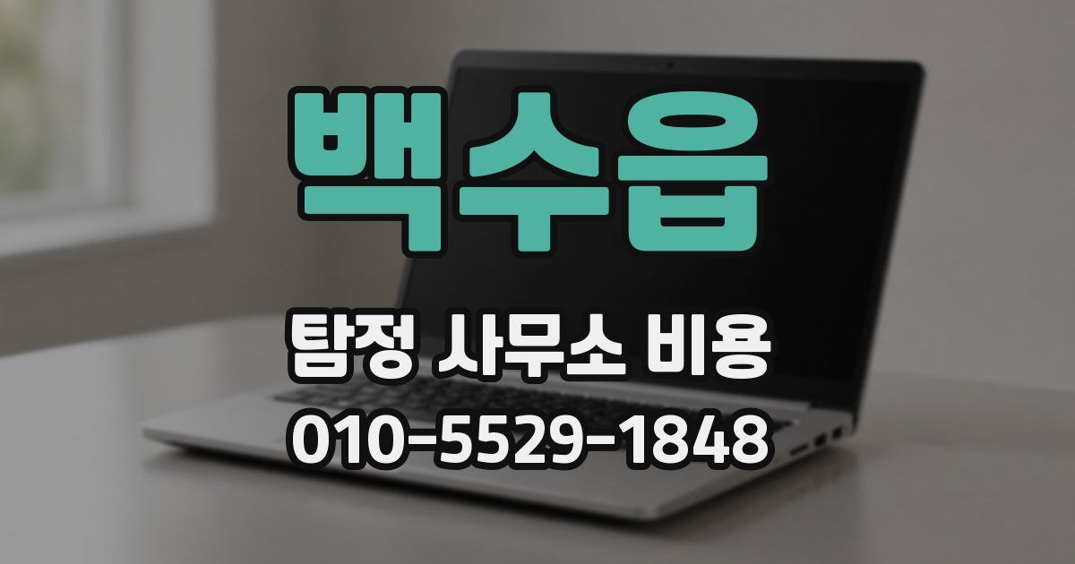 백수읍 탐정 사무소 비용