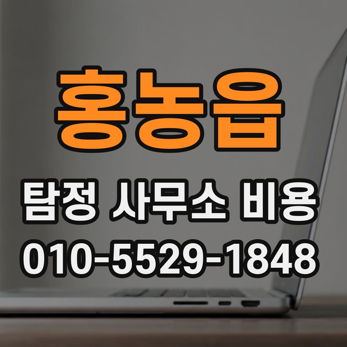 홍농읍 탐정 사무소 비용