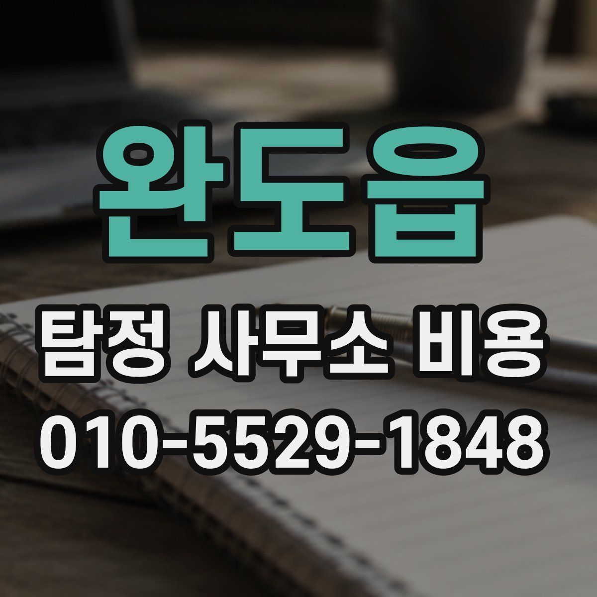 완도읍 탐정 사무소 비용