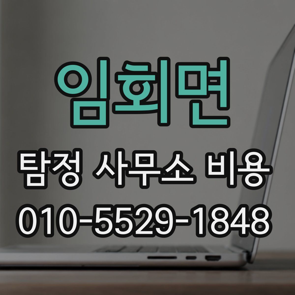 임회면 탐정 사무소 비용