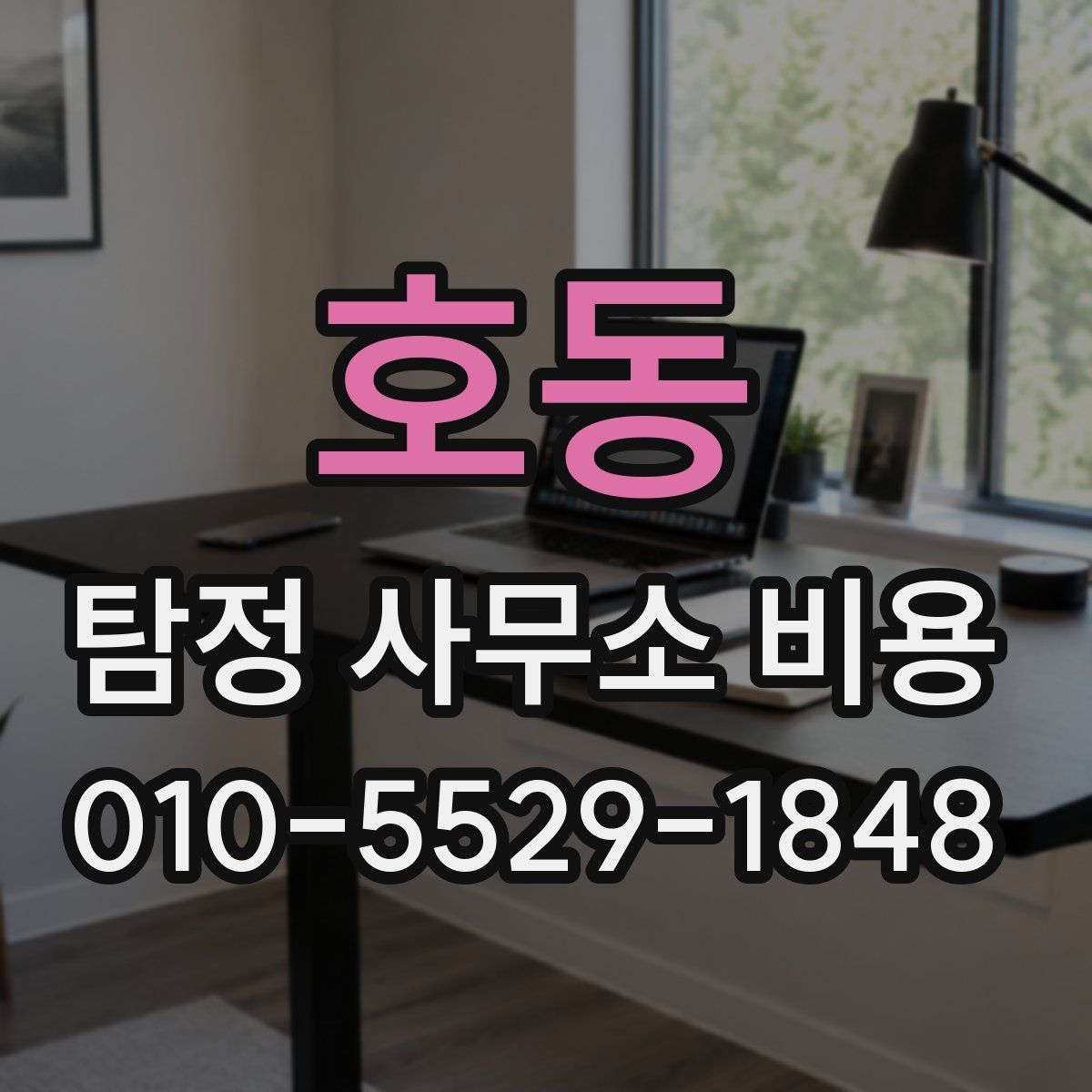 호동 탐정 사무소 비용