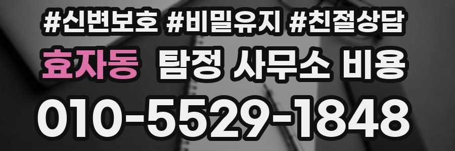 효자동 탐정 사무소 비용