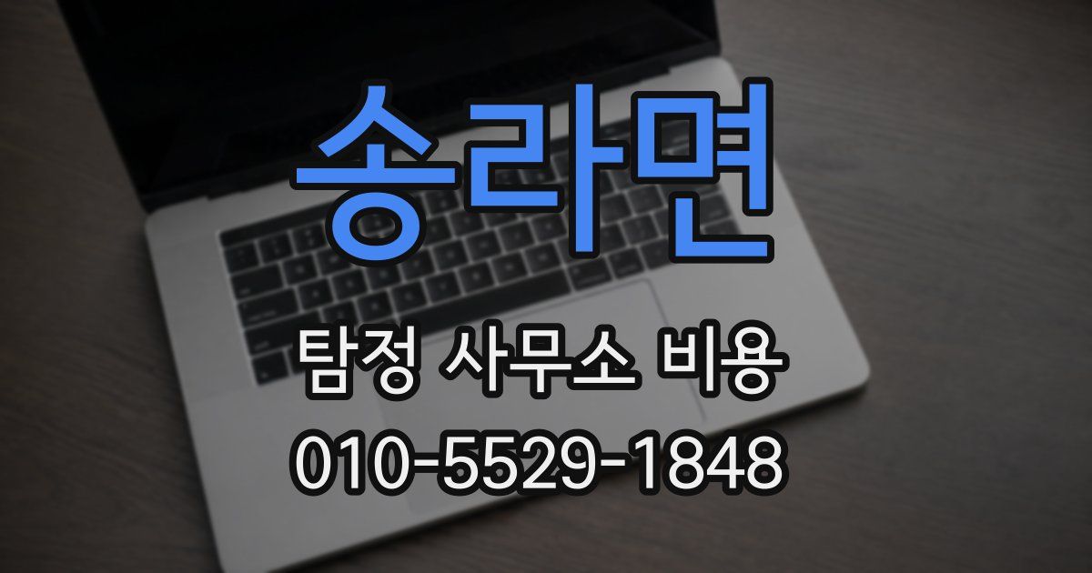 송라면 탐정 사무소 비용