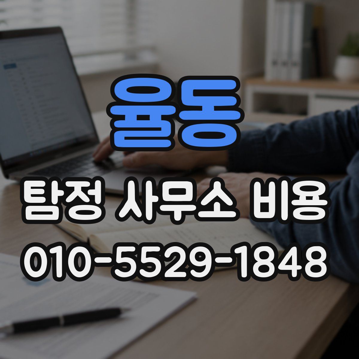 율동 탐정 사무소 비용