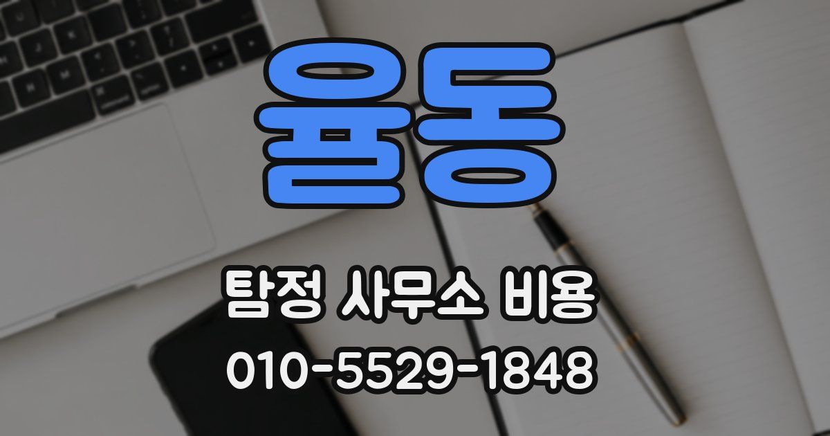 율동 탐정 사무소 비용