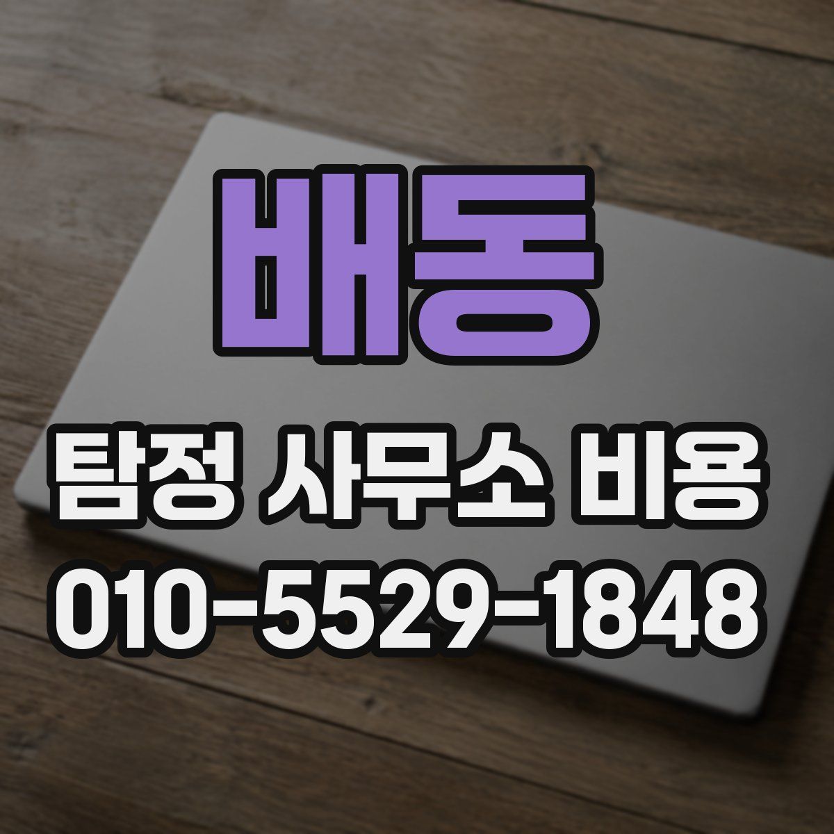 배동 탐정 사무소 비용