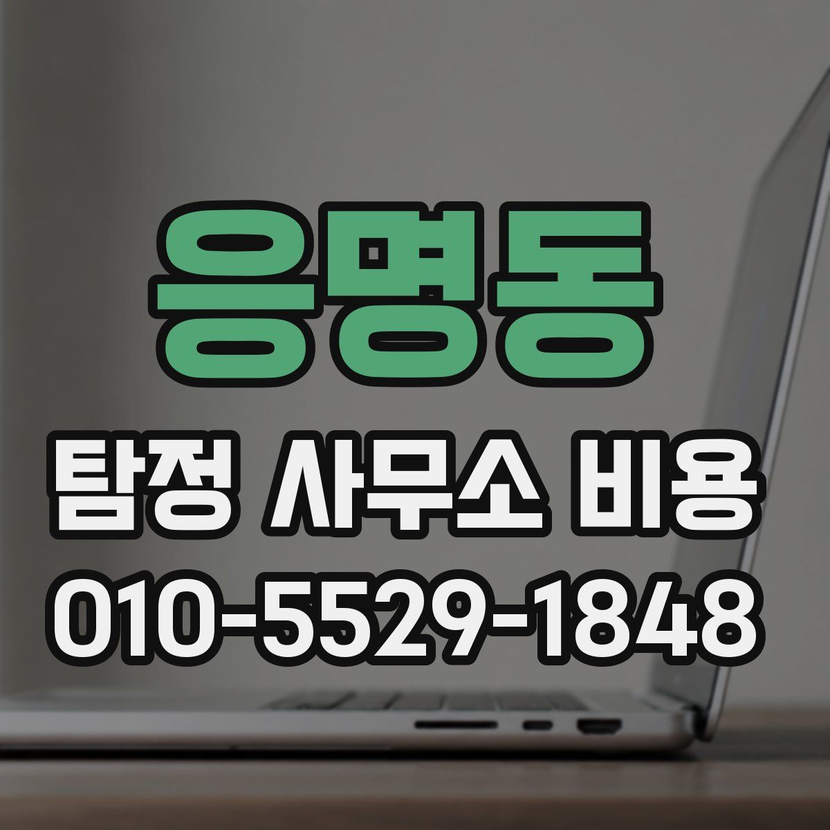 응명동 탐정 사무소 비용