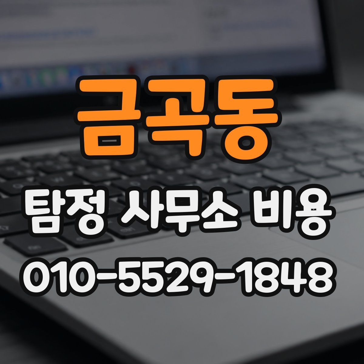 금곡동 탐정 사무소 비용