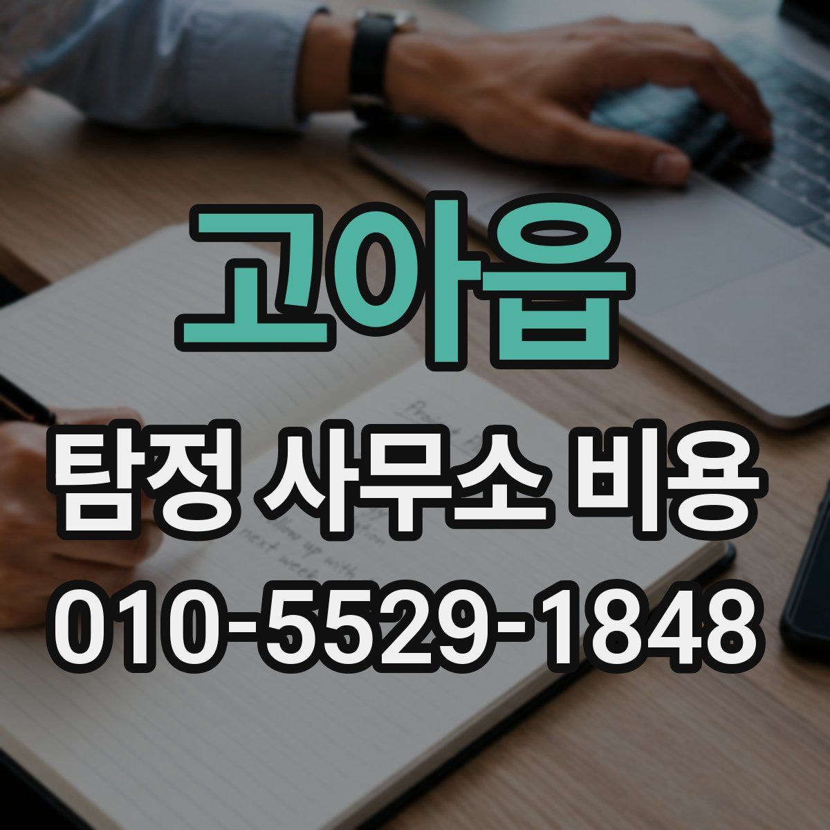 고아읍 탐정 사무소 비용
