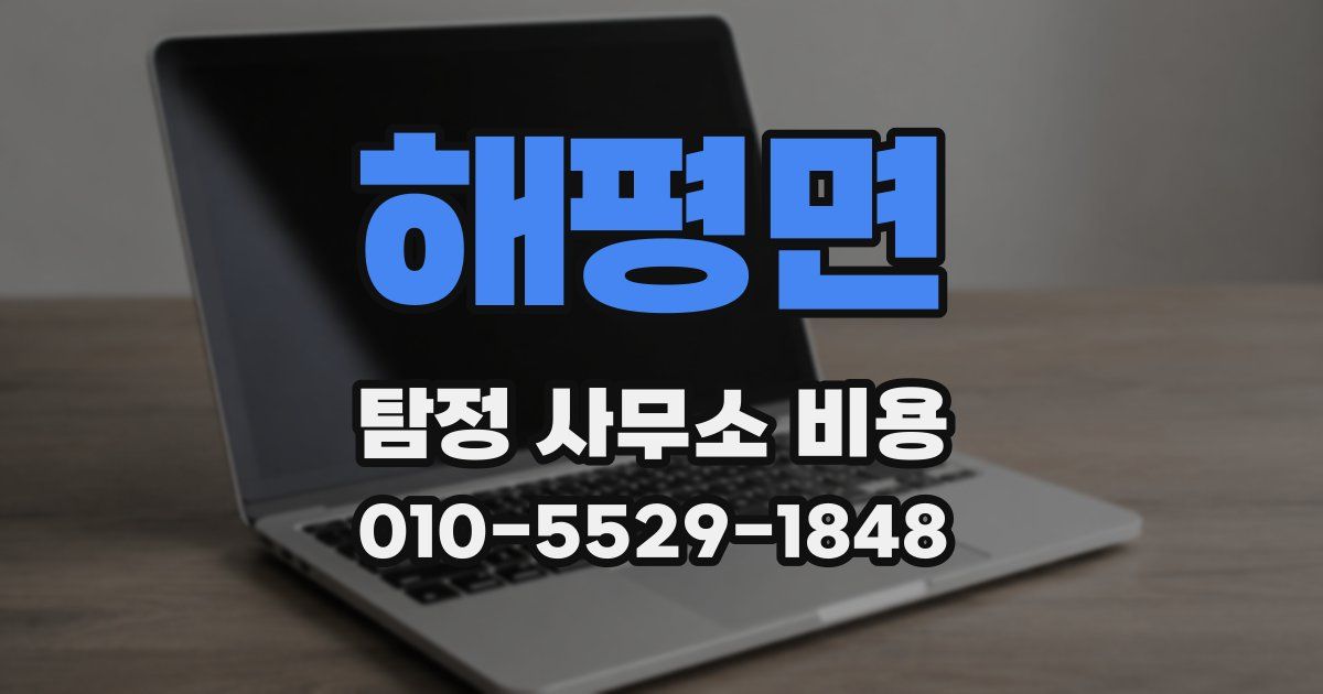 해평면 탐정 사무소 비용