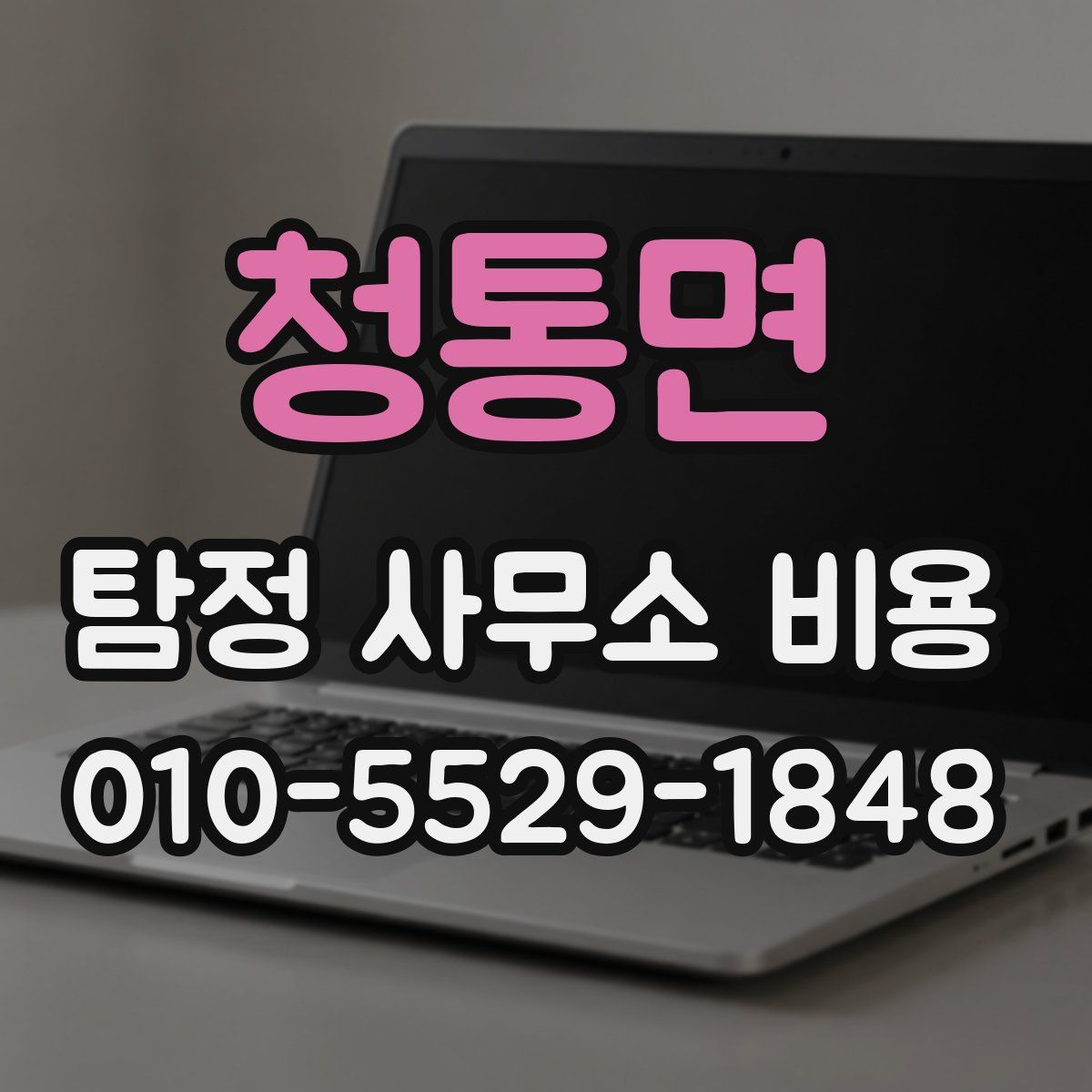 청통면 탐정 사무소 비용