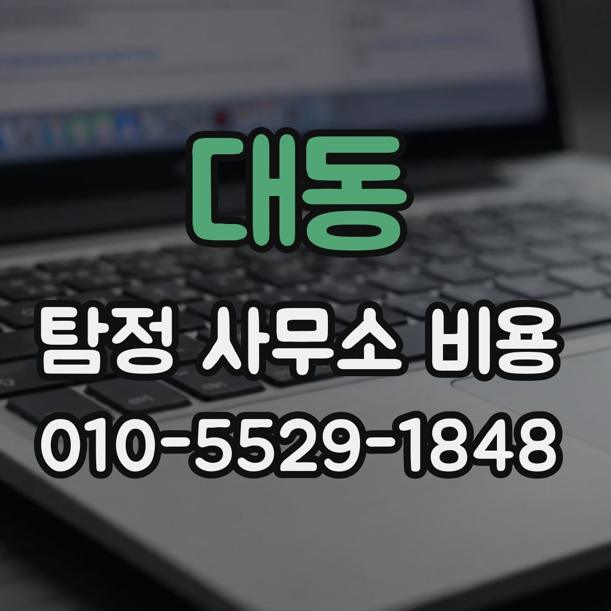 대동 탐정 사무소 비용