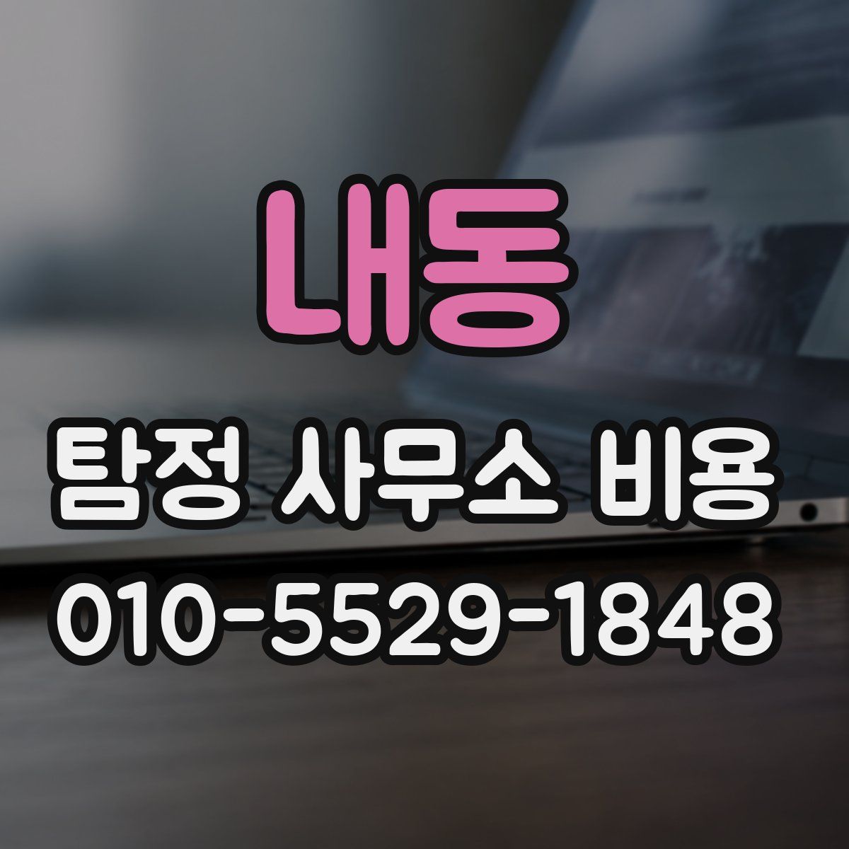 내동 탐정 사무소 비용