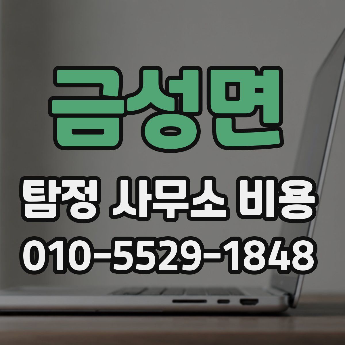 금성면 탐정 사무소 비용