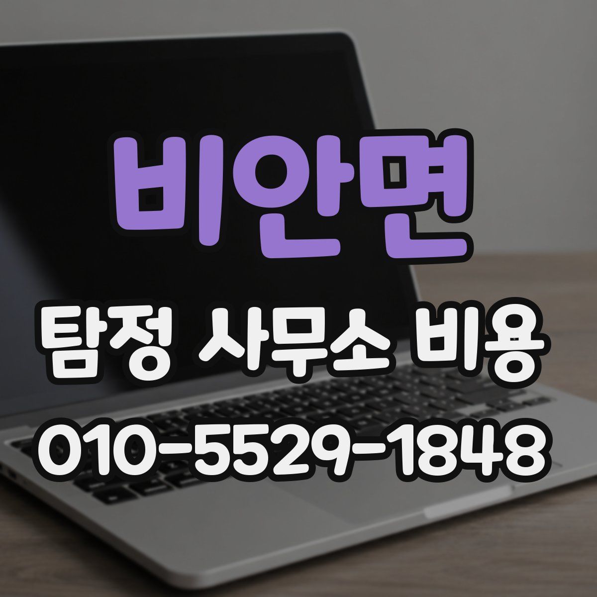 비안면 탐정 사무소 비용