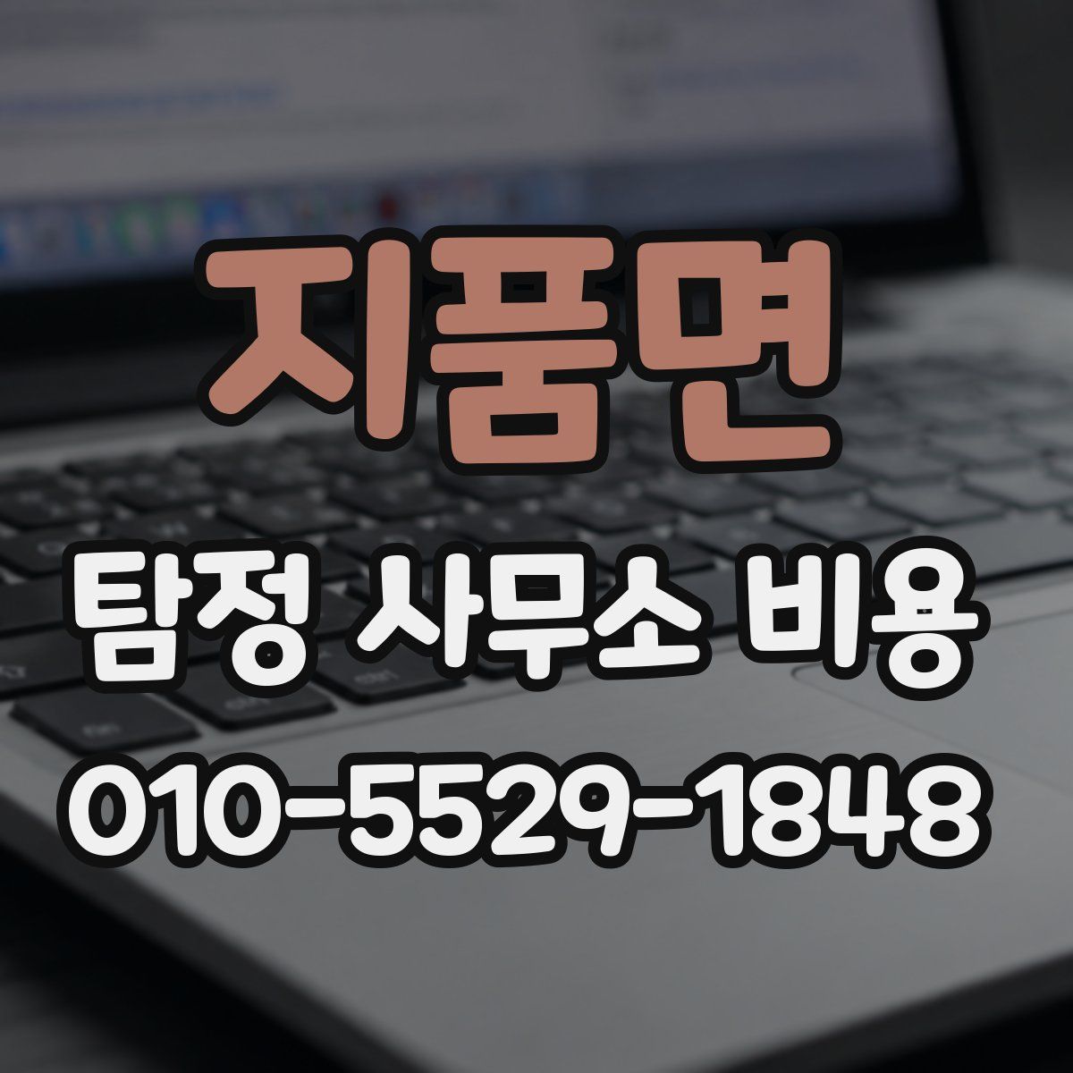지품면 탐정 사무소 비용