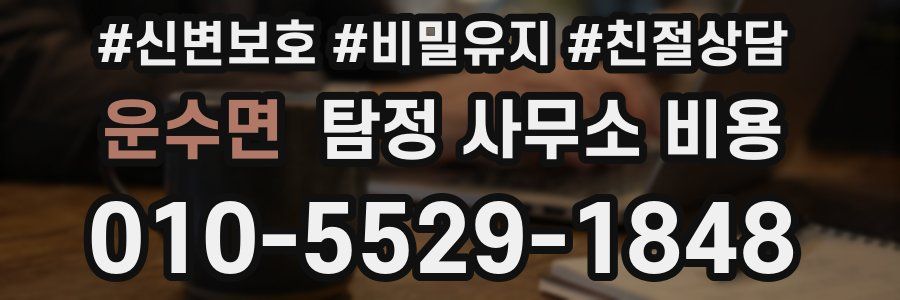 운수면 탐정 사무소 비용
