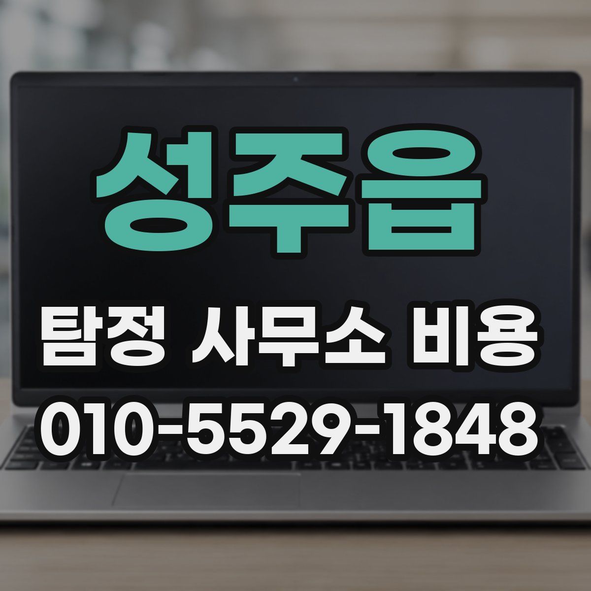 성주읍 탐정 사무소 비용