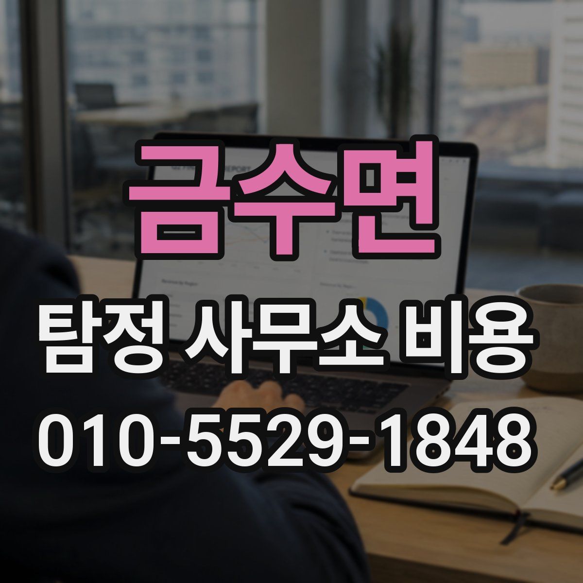 금수면 탐정 사무소 비용