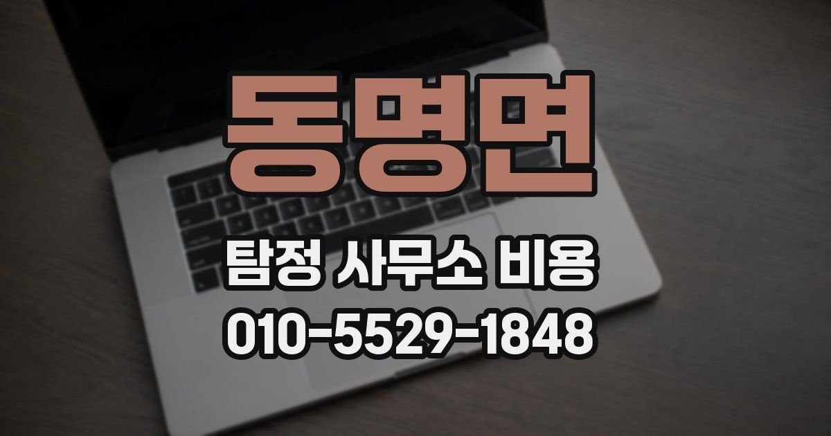 동명면 탐정 사무소 비용