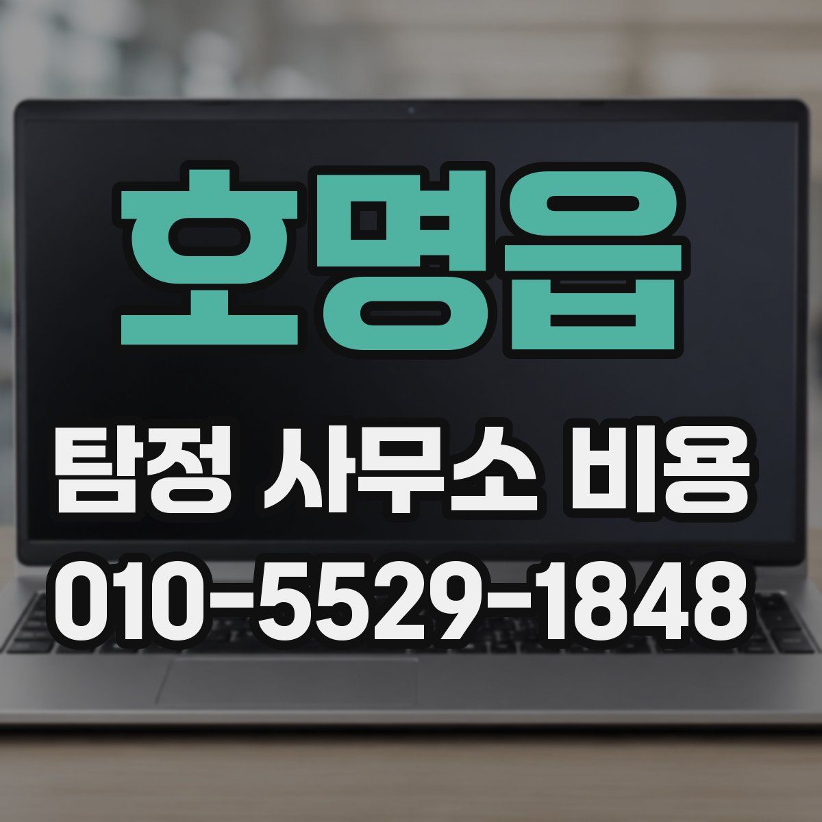 호명읍 탐정 사무소 비용