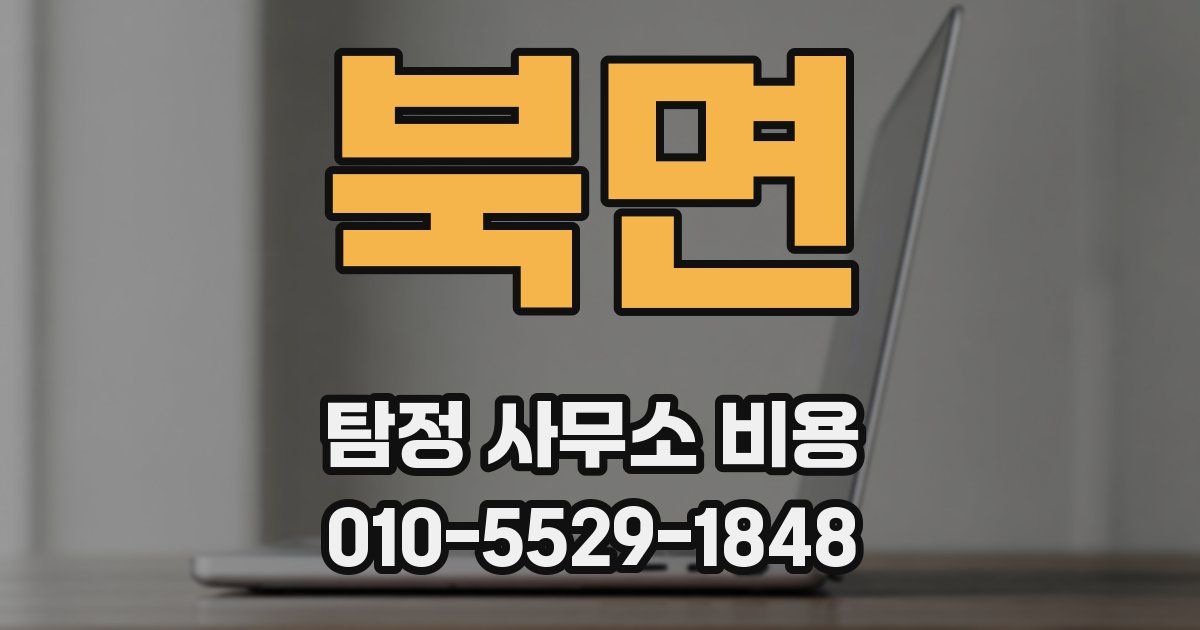 북면 탐정 사무소 비용