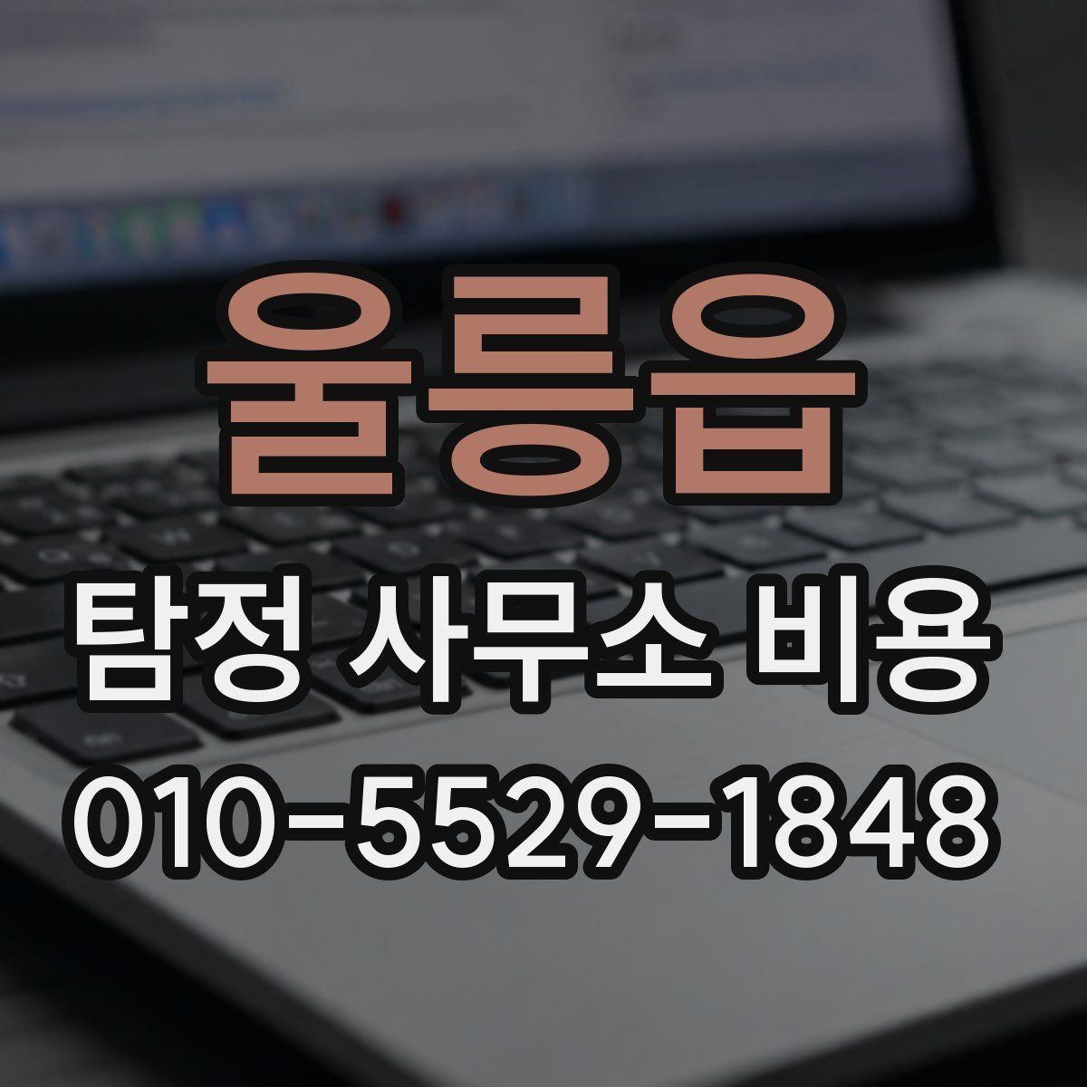 울릉읍 탐정 사무소 비용