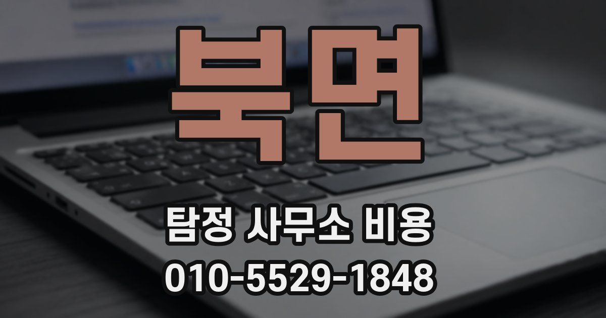 북면 탐정 사무소 비용