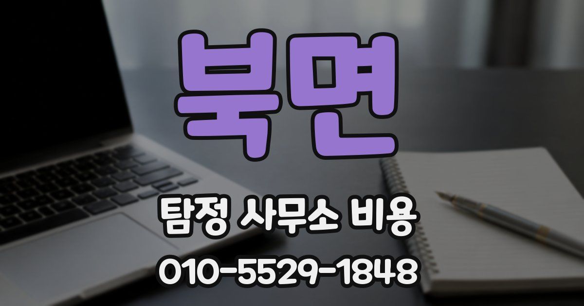 북면 탐정 사무소 비용