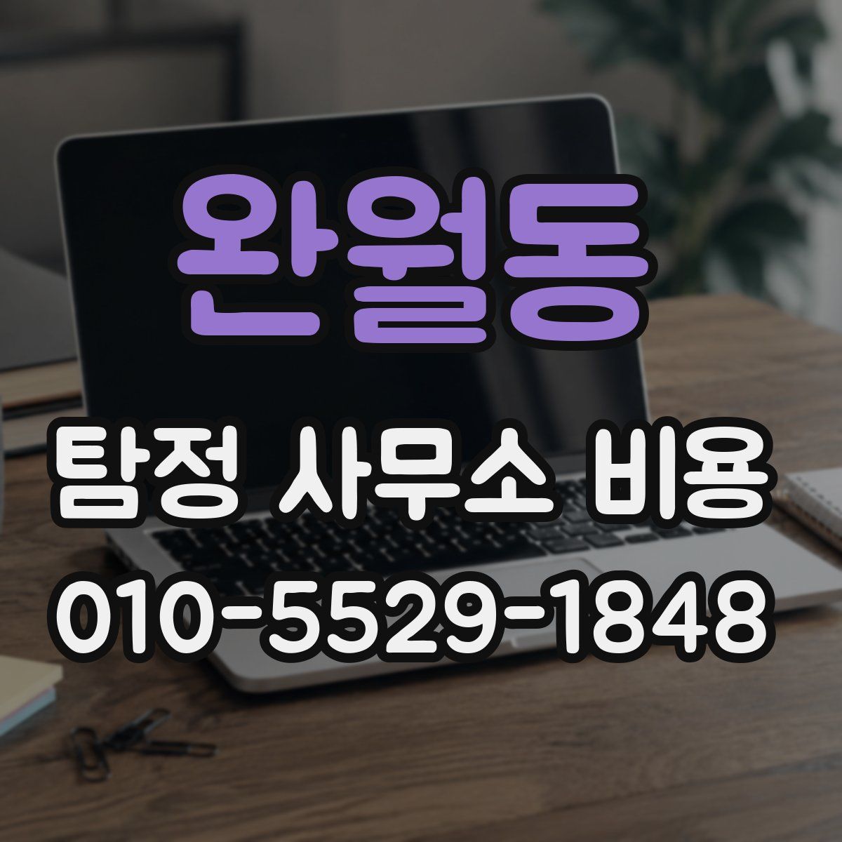 완월동 탐정 사무소 비용
