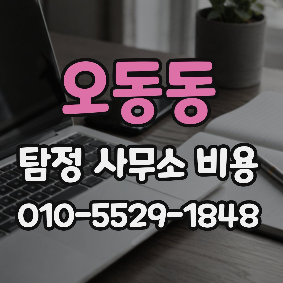 오동동 탐정 사무소 비용