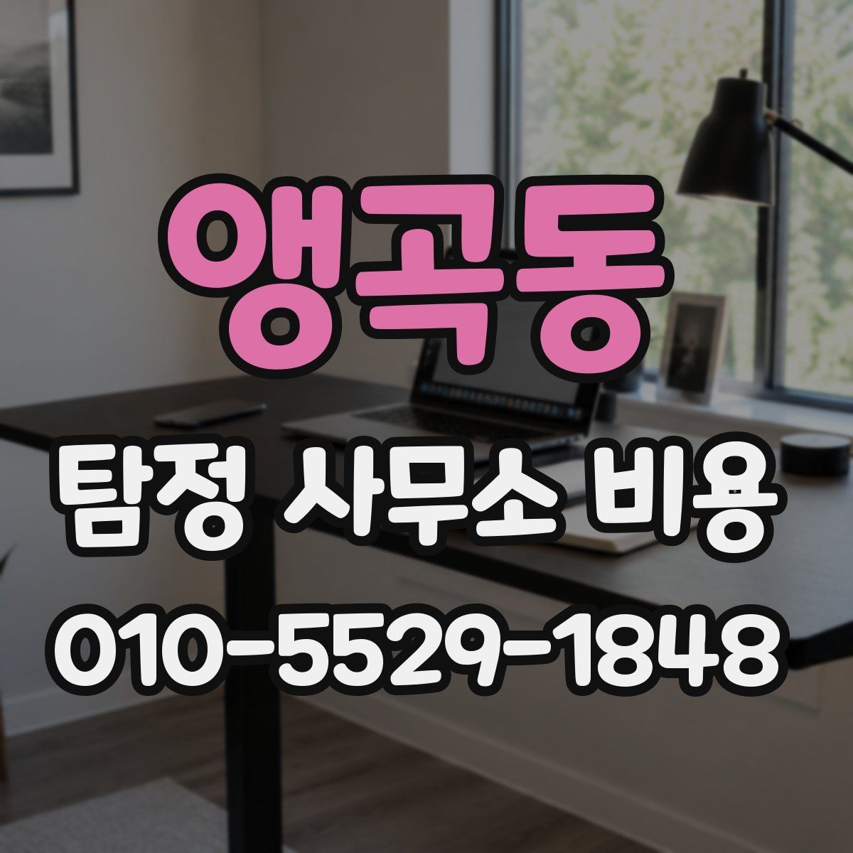 앵곡동 탐정 사무소 비용